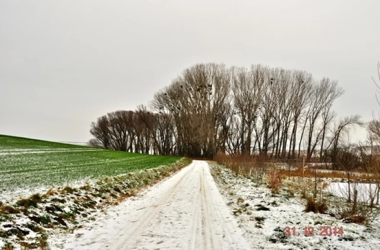 Novoročí, 31. 12. 2014